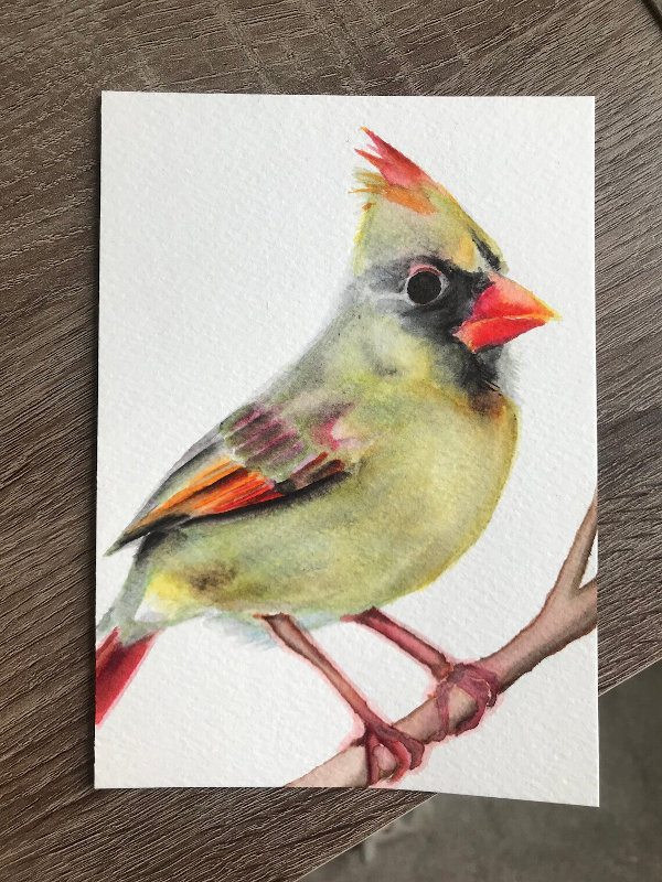 Art Enhances Health and Well-Being of Seniors