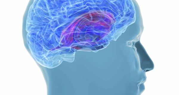British Study Claims Alzheimer’s May Be Infectious
