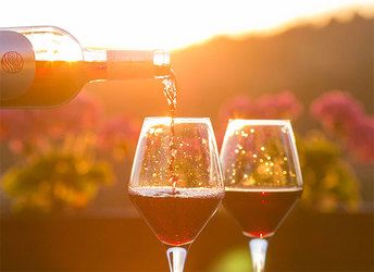 Humans Don't Age Like a Fine Wine - Plan for Longevity Younger