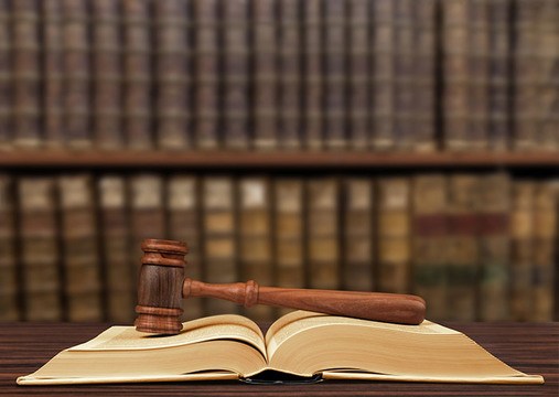 Illinois Legislature to Protect Against Rogue Guardians