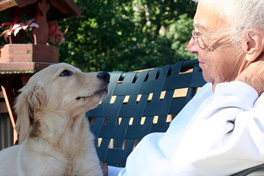 Pets Provide Comfort and Companionship for Elderly