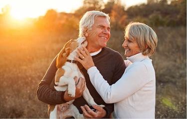 The Right Dog for Empty Nesters