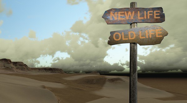 Top 10 Tips to Better Living and Longevity